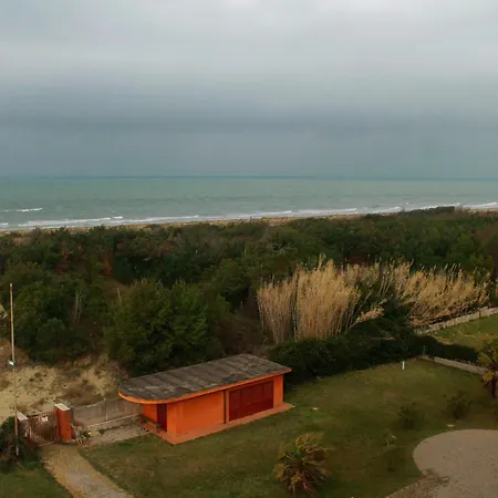 Vicino Alla Spiaggia